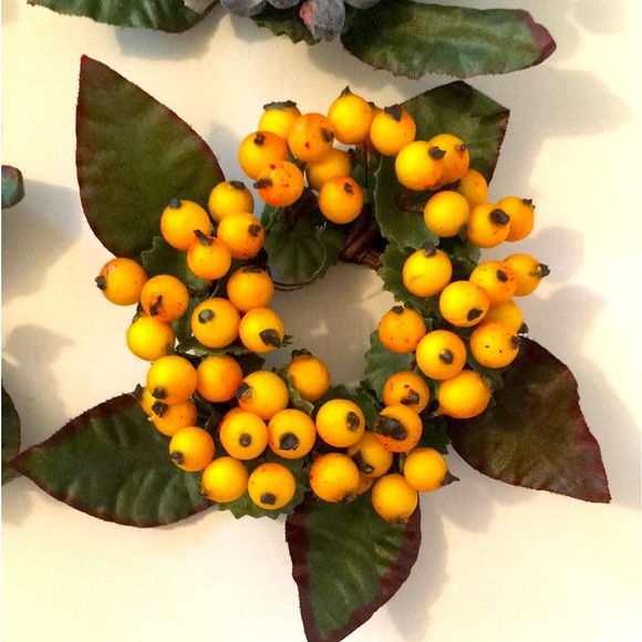 Decorative Fruit Accent 4 pieces NEW - Picture 8 of 13